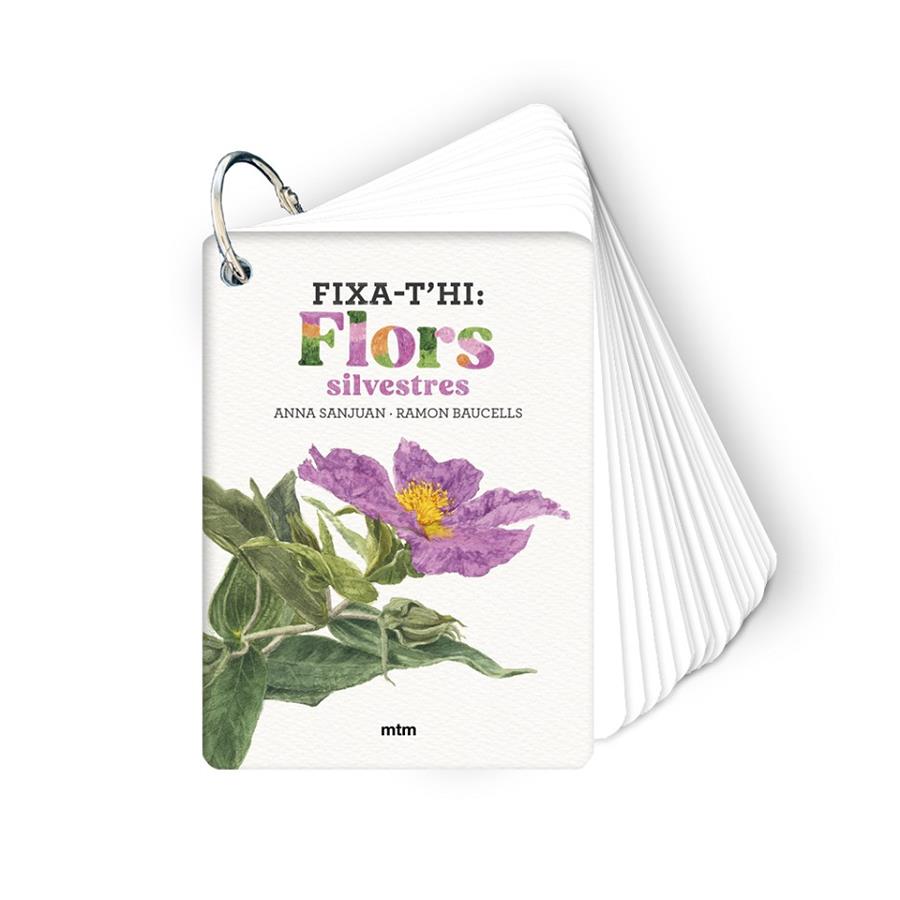 Fixa-t'hi: flors silvestres | 9788410407589 | Sanjuan Llorens, Anna/Baucells Colomer, Ramon | Botiga online La Carbonera