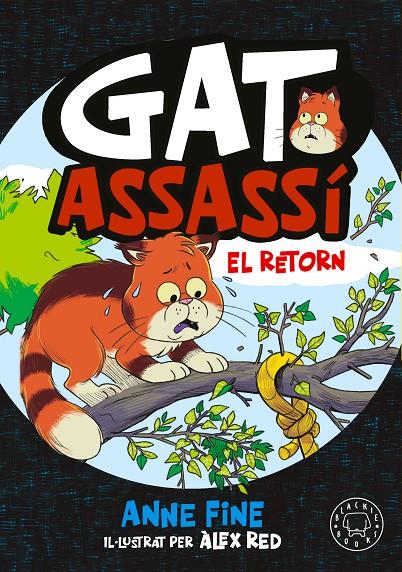 Diari d’un gat assassí. El retorn | 9791388154560 | Fine, Anne | Botiga online La Carbonera