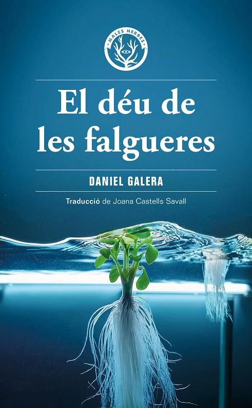 El déu de les falgueres | 9788412910919 | Galera, Daniel | Botiga online La Carbonera