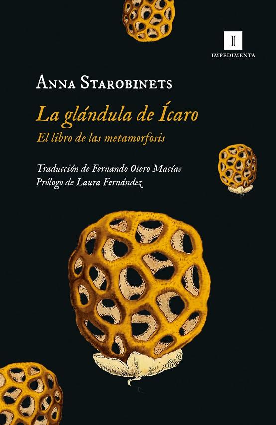 La glándula de Ícaro | 9788419581020 | Starobinets, Anna | Botiga online La Carbonera