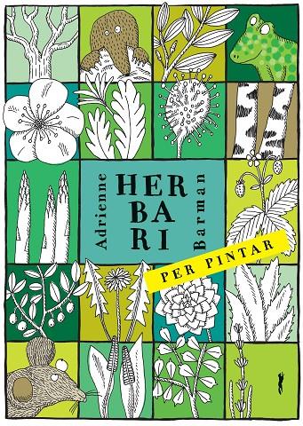Herbari per pintar | 9788494990427 | Barman, Adrianne | Botiga online La Carbonera