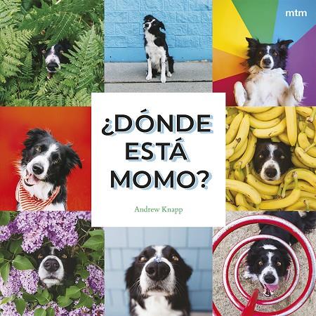¿Dónde está Momo? | 9788410407909 | Knapp, Andrew | Botiga online La Carbonera