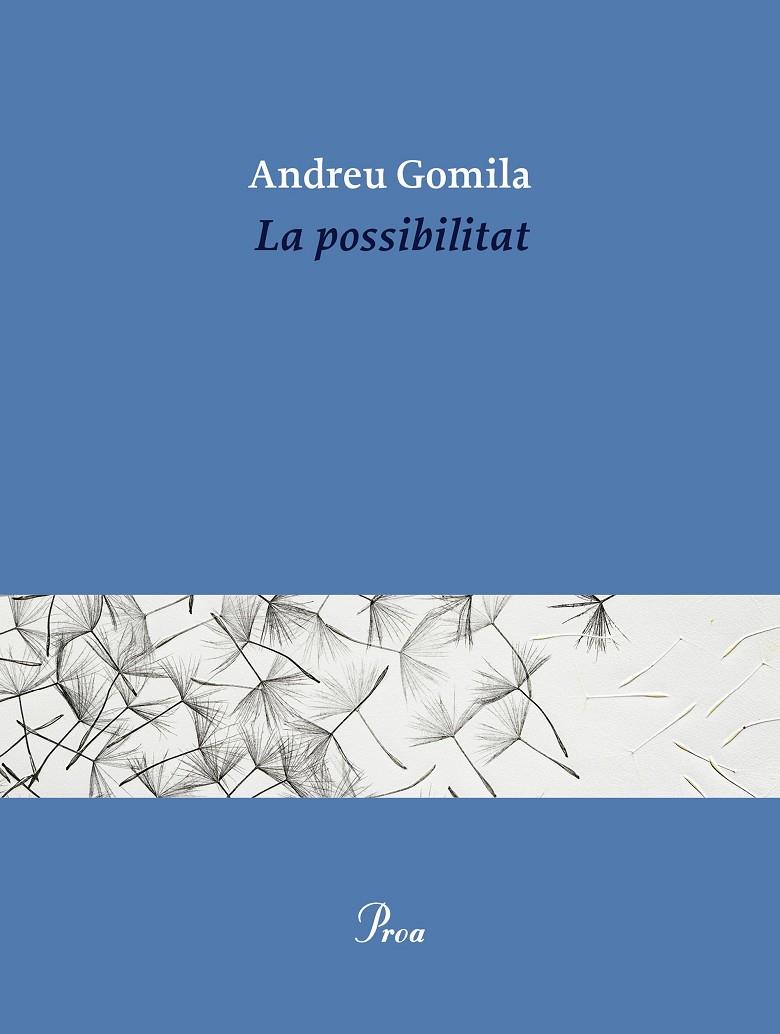 La possibilitat | 9791388369155 | Gomila, Andreu | Botiga online La Carbonera