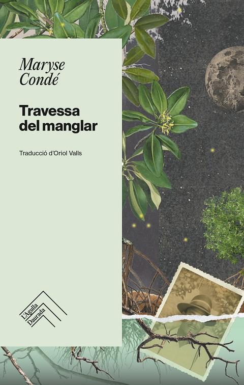 TRAVESSA DEL MANGLAR | 9788419515001 | CONDÉ, MARYSE | Botiga online La Carbonera