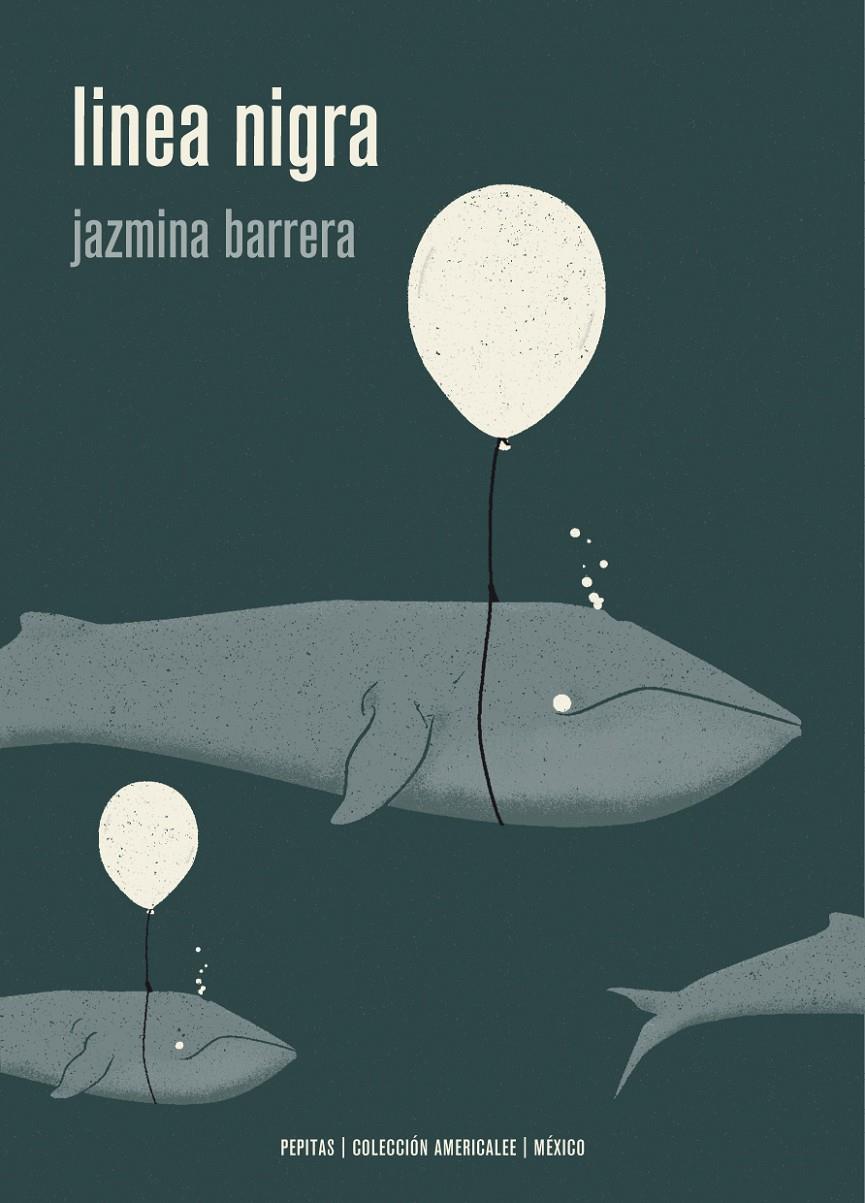 Linea nigra | 9788417386528 | Barrera Velázquez, Jazmina | Botiga online La Carbonera