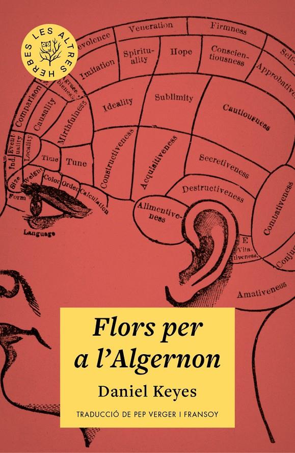 Flors per a l'Algernon | 9788412209778 | Keyes, Daniel | Botiga online La Carbonera