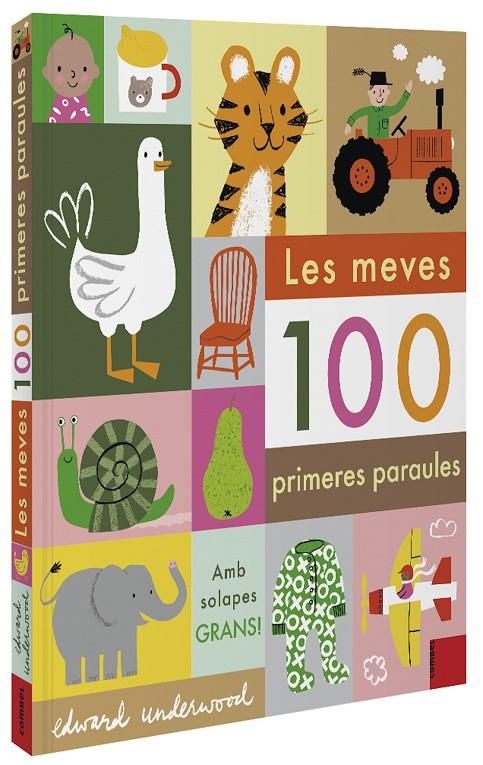 Les meves 100 primeres paraules | 9788491015932 | Botiga online La Carbonera