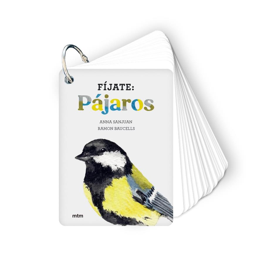 Fíjate: pájaros | 9788417165819 | Botiga online La Carbonera