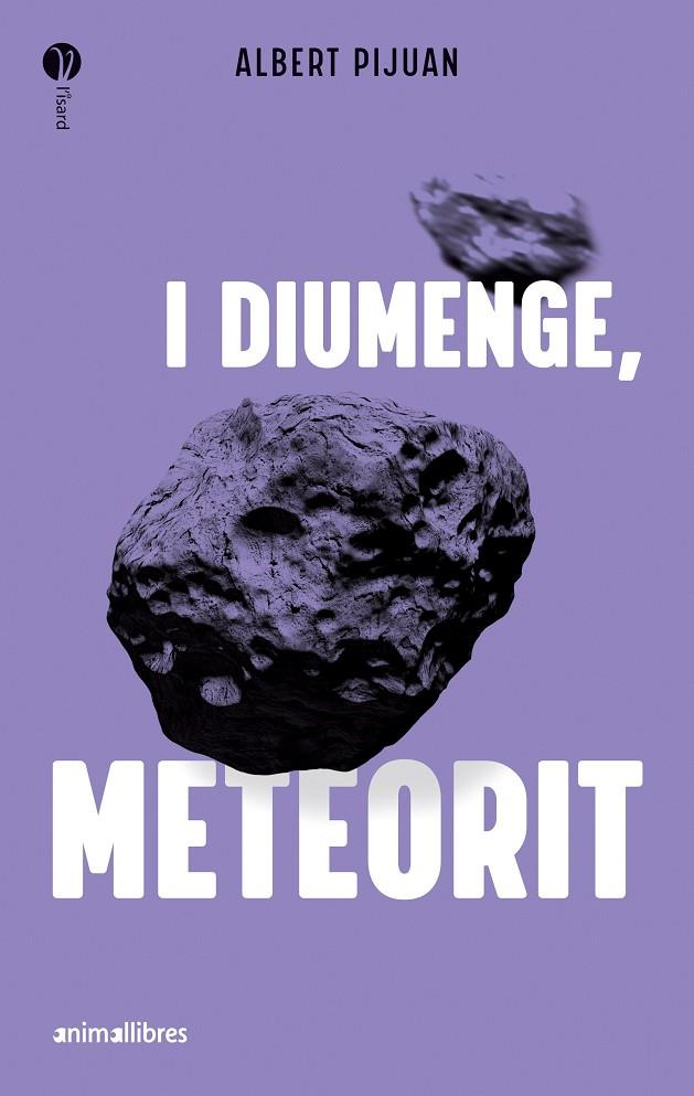 I diumenge, meteorit | 9788419659415 | Albert Pijuan | Botiga online La Carbonera