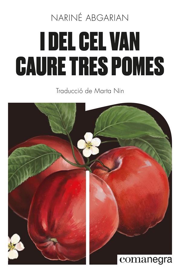 I del cel van caure tres pomes | 9788418857041 | Abgarian, Nariné | Botiga online La Carbonera