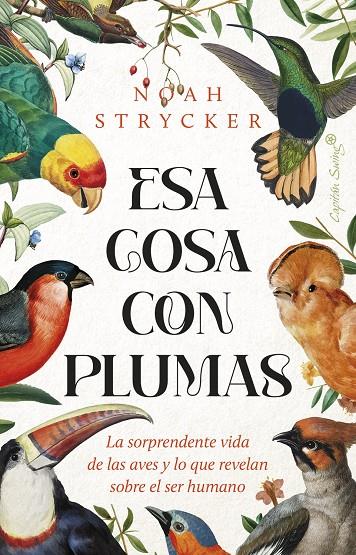 Esa cosa con plumas | 9788412953114 | Stryck, Noah Keefer | Botiga online La Carbonera