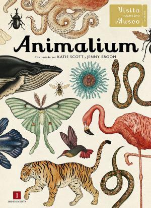 Animalium | 9788415979463 | Botiga online La Carbonera