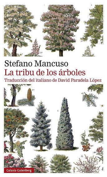 La tribu de los árboles | 9788419392510 | Mancuso, Stefano | Botiga online La Carbonera