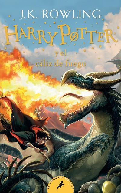 Harry Potter y el cáliz de fuego (Harry Potter 4) | 9788418173110 | Rowling, J.K. | Botiga online La Carbonera