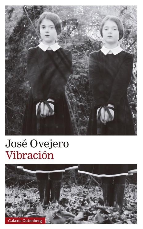 Vibración | 9788419738615 | Ovejero, José | Botiga online La Carbonera
