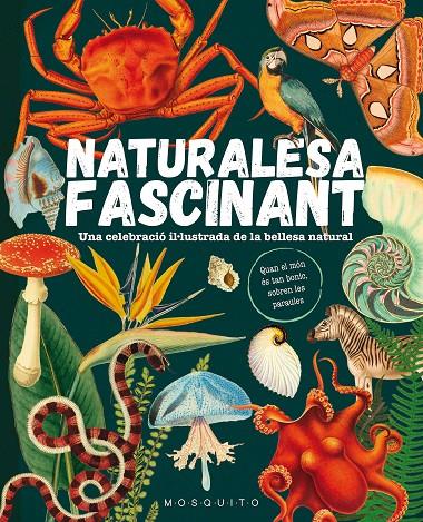 Naturalesa fascinant | 9788419095596 | Mosquito Books | Botiga online La Carbonera