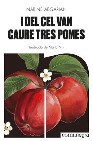 I del cel van caure tres pomes | 9788418857041 | Abgarian, Nariné | Botiga online La Carbonera