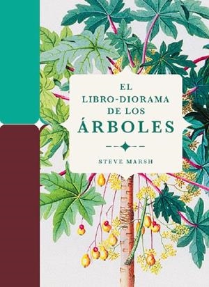 El libro-diorama de los árboles | 9788412386196 | Marsh, Steve | Botiga online La Carbonera