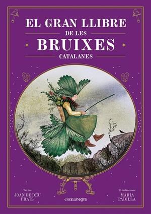 El gran llibre de les bruixes catalanes | 9788410161337 | Prats, Joan de Déu/Padilla, Maria | Botiga online La Carbonera
