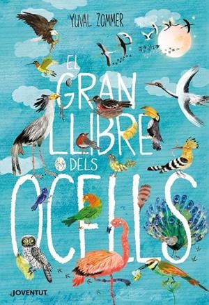 El gran llibre dels ocells | 9788426145840 | Zommer, Yuval | Botiga online La Carbonera