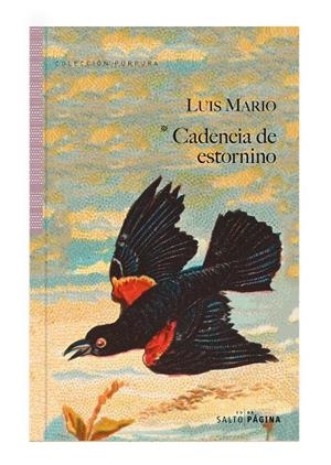 Cadencia de estornino | 9788417893620 | Mario, Luis | Botiga online La Carbonera