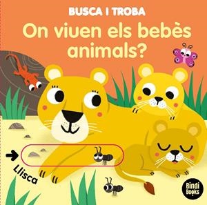 On viuen els bebès animals? | 9788418288005 | Baretti, Sonia | Botiga online La Carbonera