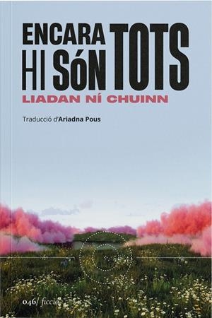 Encara hi són tots | 9788419059598 | Ní Chuinn, Liadan | Botiga online La Carbonera