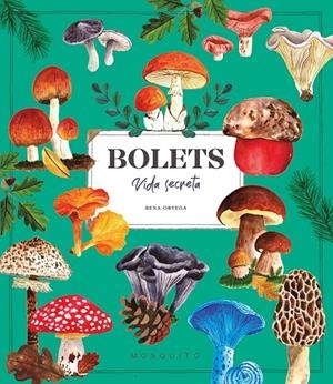 Bolets. Vida secreta | 9788410417687 | Ortega, Rena | Botiga online La Carbonera