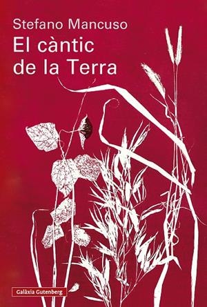 El càntic de la Terra | 9791388019852 | Mancuso, Stefano | Botiga online La Carbonera