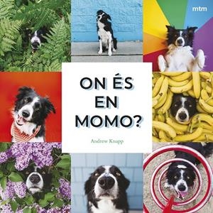 On és en Momo? | 9788410407893 | Knapp, Andrew | Botiga online La Carbonera