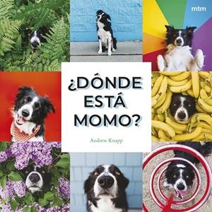 ¿Dónde está Momo? | 9788410407909 | Knapp, Andrew | Botiga online La Carbonera