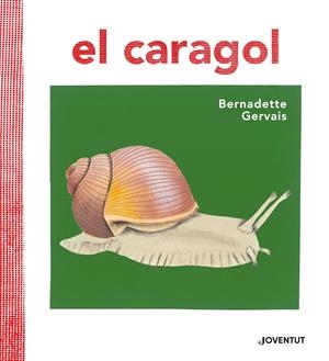 El caragol | 9788426145680 | Gervais, Bernadette | Botiga online La Carbonera